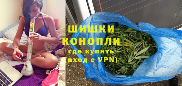 сатива Володарск