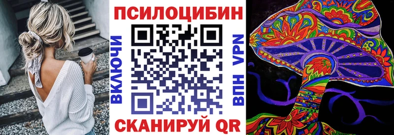Псилоцибиновые грибы прущие грибы  Почеп 