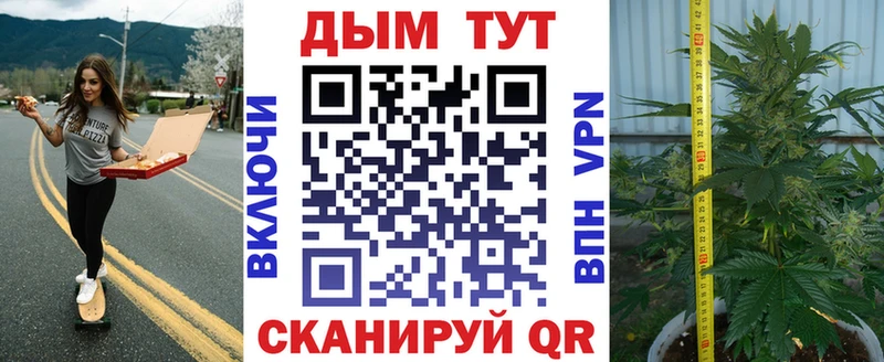 сколько стоит  Почеп  Бошки Шишки конопля 